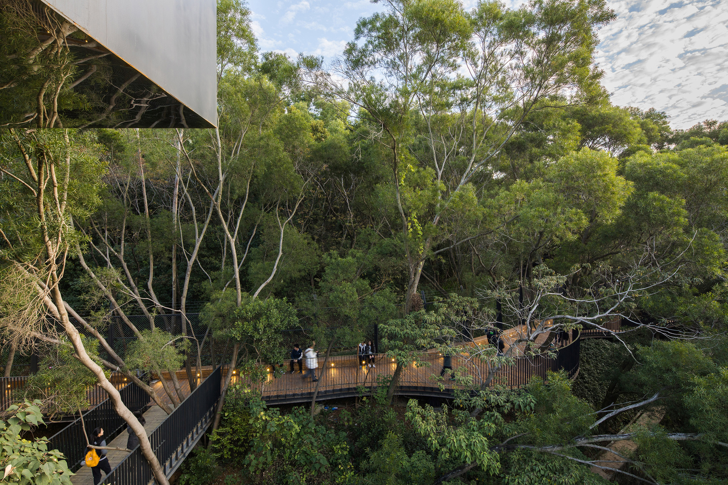 16-Forest_promenade_viewed_from_the_viewing_tower_of_No.3_student_dormitory_©Zh.jpg