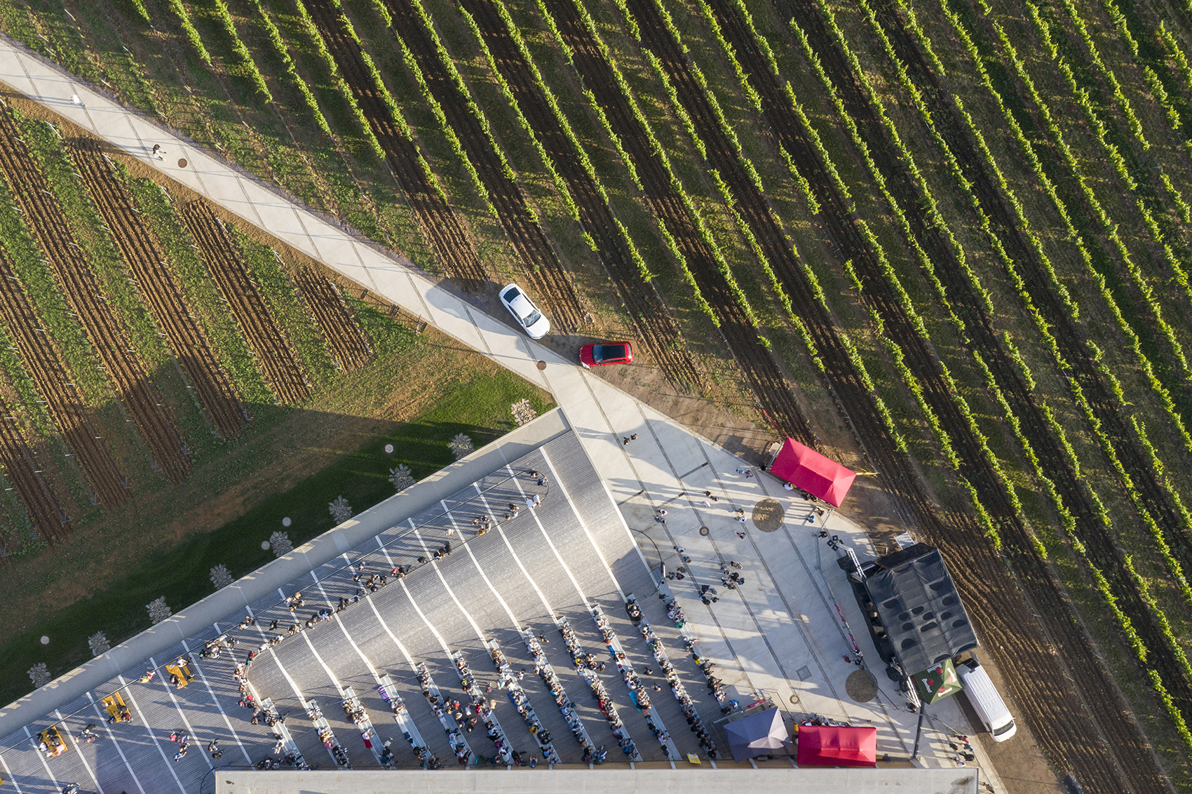 002-lahofer-winery-by-chybik-kristof.jpg