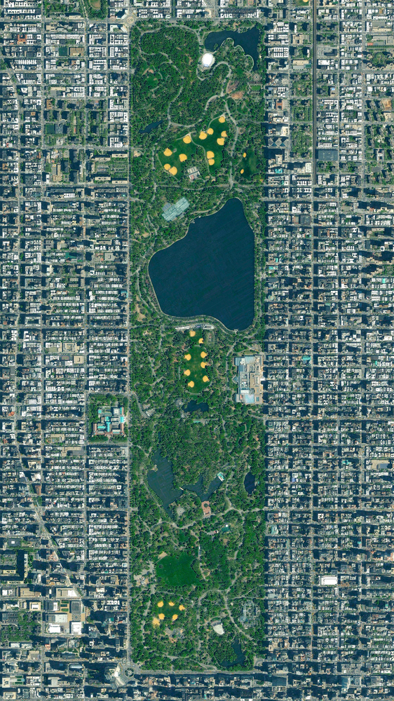 Central_Park.jpg