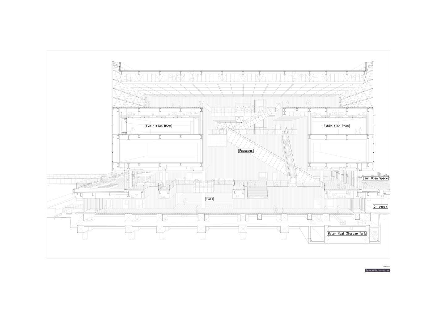 cross-section-perspective-1.jpg