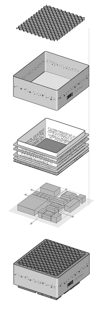 hon-axon-drawing.jpg