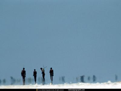 NGM2001_02p98-9.jpg
