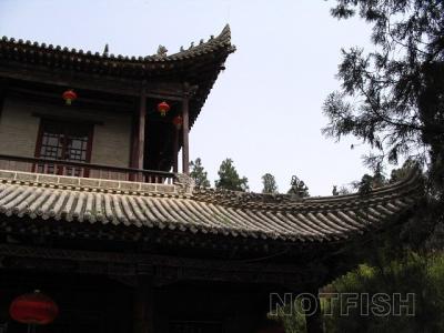 img007.jpg