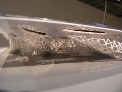 P4210143.JPG