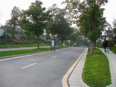 麓山国际社区（这是小区内的道路）