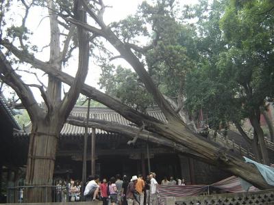 img025.jpg