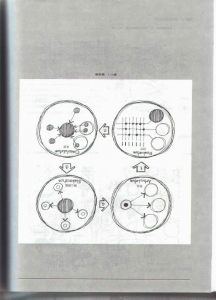 图像-167.JPG