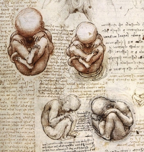 503999-fetus-embed.jpg